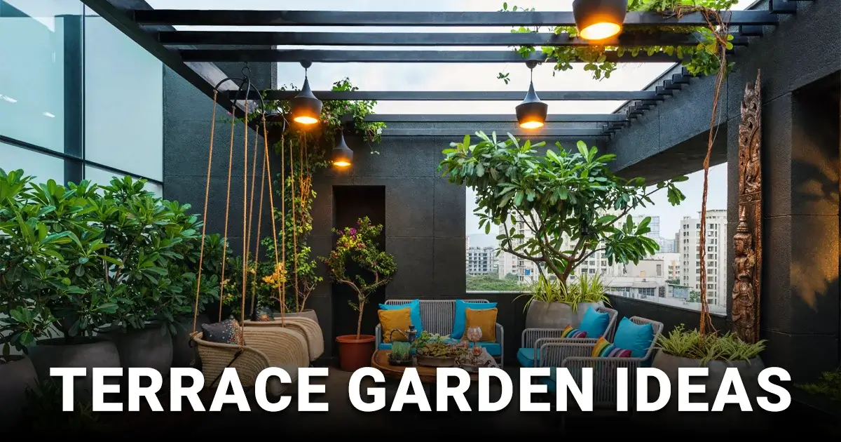 Terrace Garden Ideas for Homeowners: Create a Green Escape Above the City
