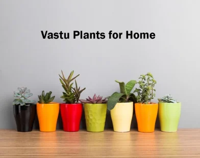 vastu plants for home