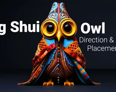 Feng Shui Owl Direction & Placement