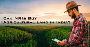 Can NRIs Buy Agricultural Land in India