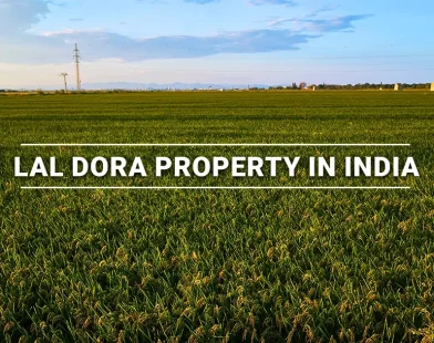 Lal Dora Property in India