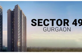 Sector 49 Gurgaon