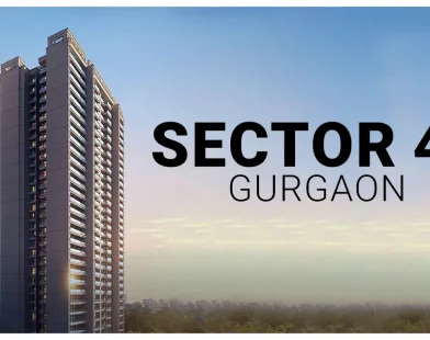 Sector 49 Gurgaon