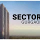 Sector 49 Gurgaon