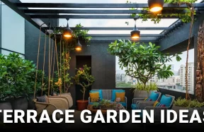 Terrace Garden Ideas