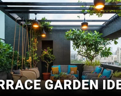 Terrace Garden Ideas